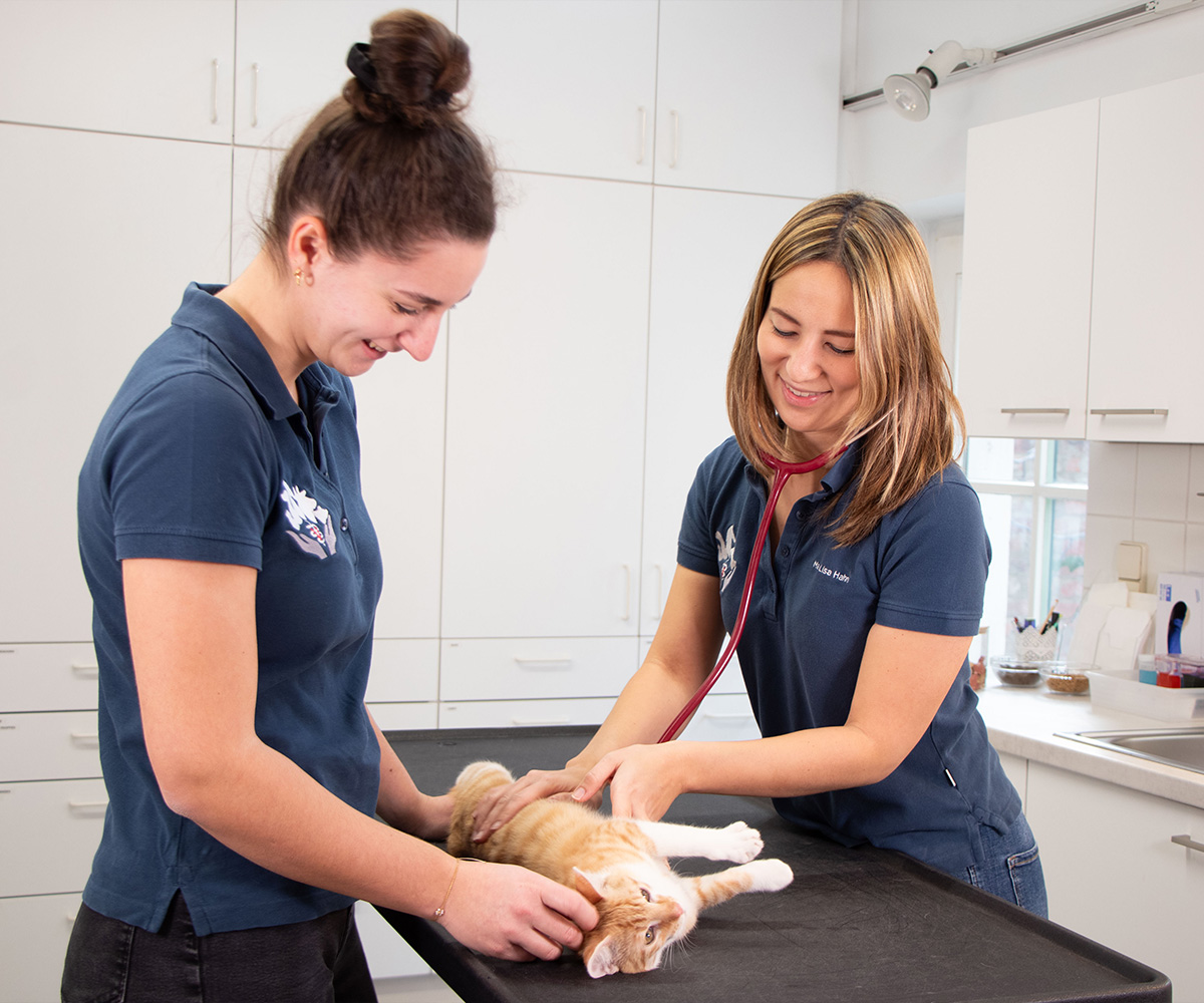 service-vorschaubild-untersuchung-bild1